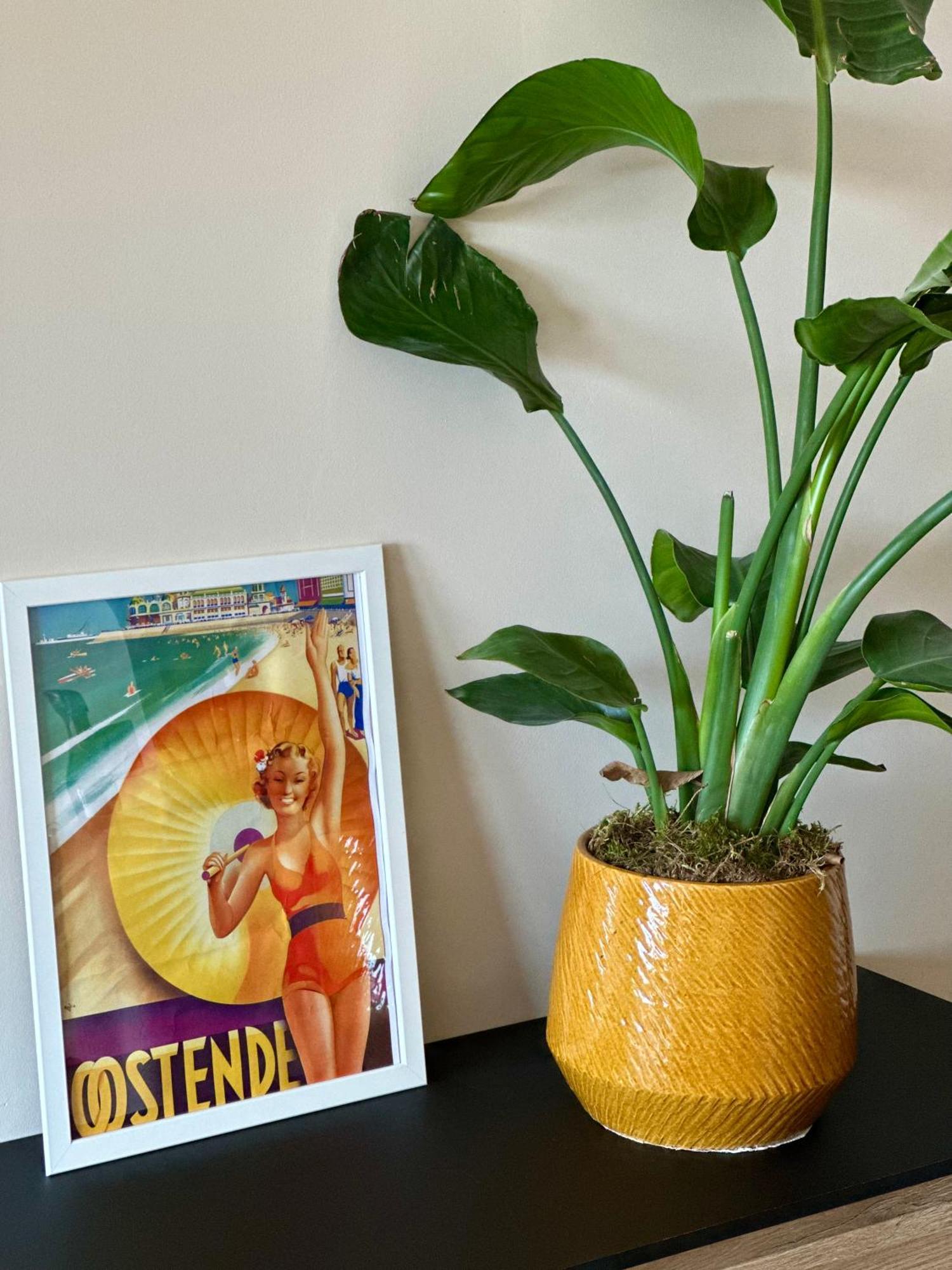 Studio By Aimee - 20M From The Beach & In City Centre! 오스텐드 외부 사진